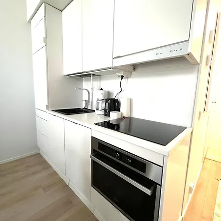 Scandinavian Loft 1br Near Centre
