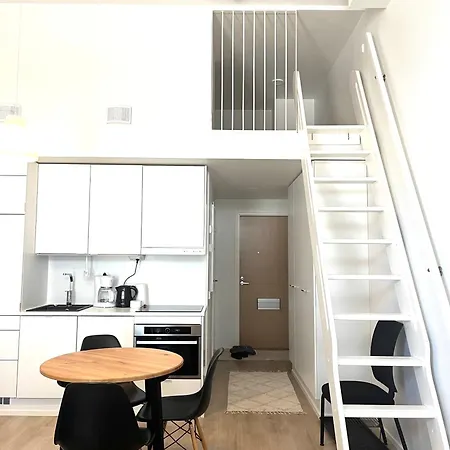 Apartment Scandinavian Loft 1br Near Centre