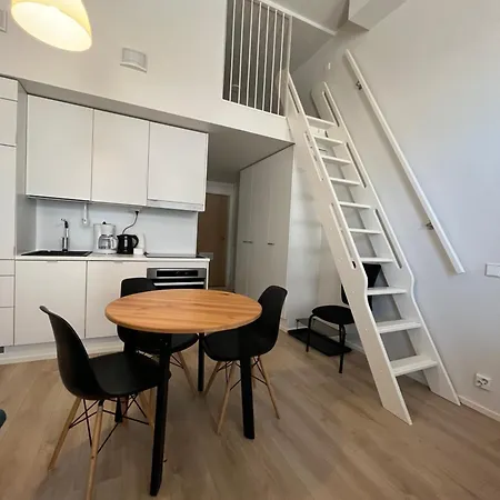 Scandinavian Loft 1br Near Centre